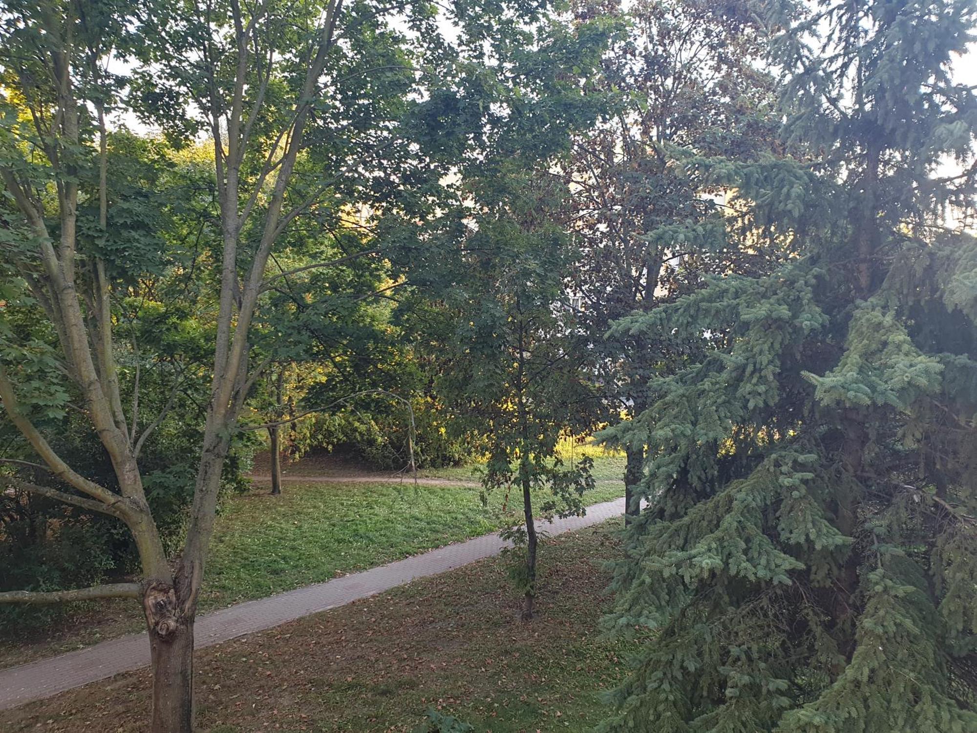 Apartment Mieszkanie Dla Calej Rodziny Lodz (Lodz)